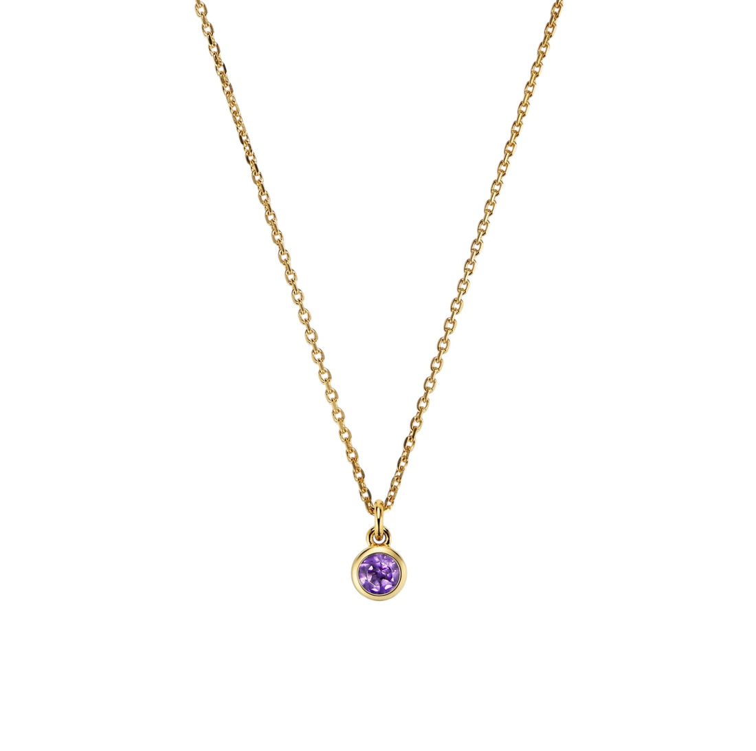 WooYou February Birthstone Pendant Necklace